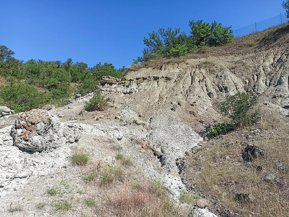 The stone formations at Kuklica, associated with local stories of a petrified wedding party.