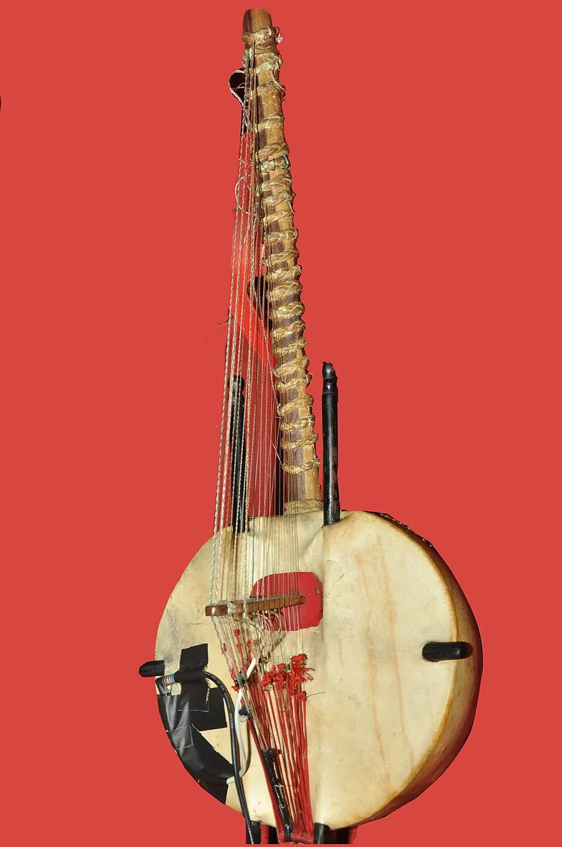 A kora, the West African harp associated with Manding musical and oral traditions.